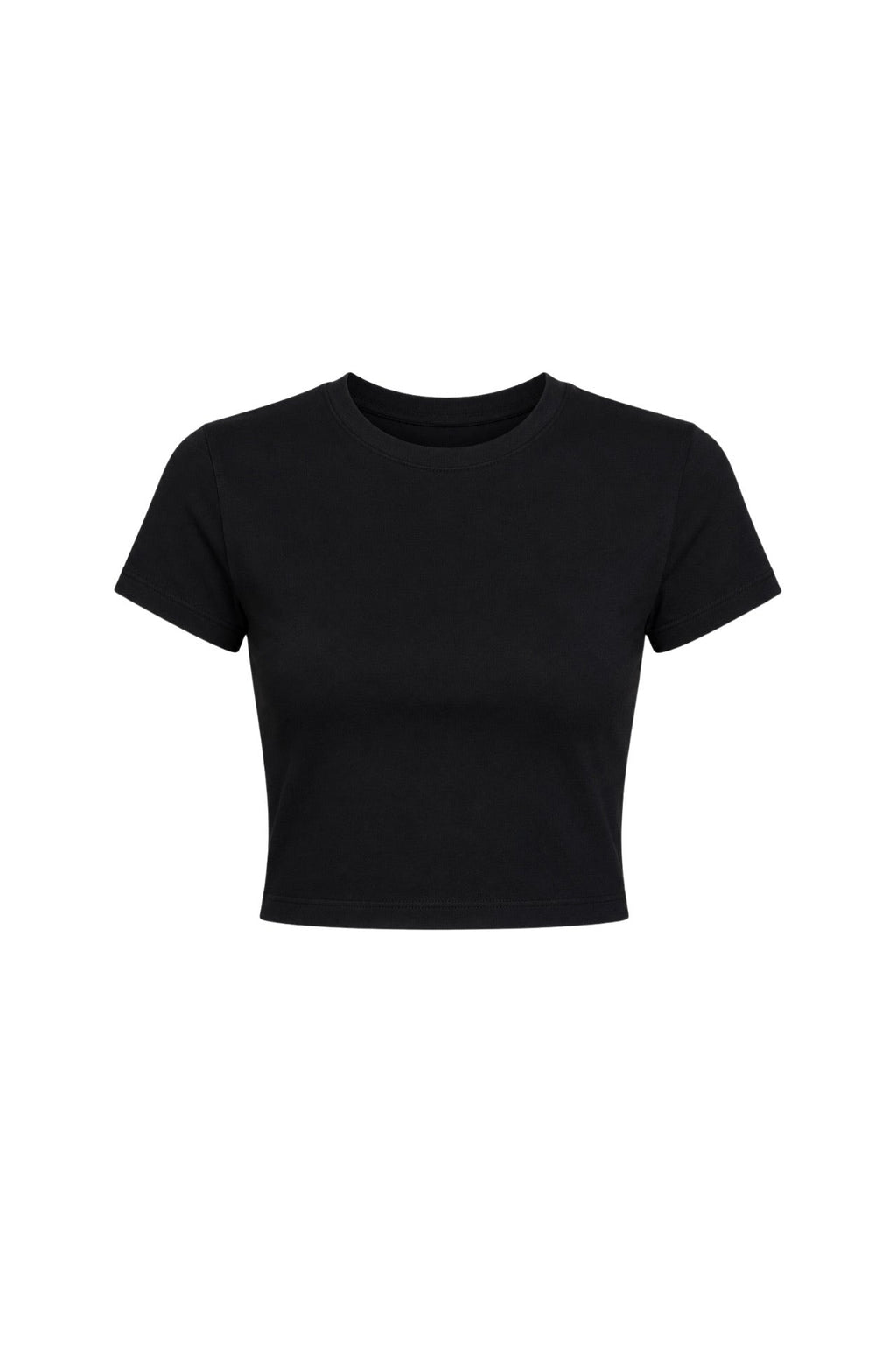 Black Crew Neck Lycra Crop T-Shirt