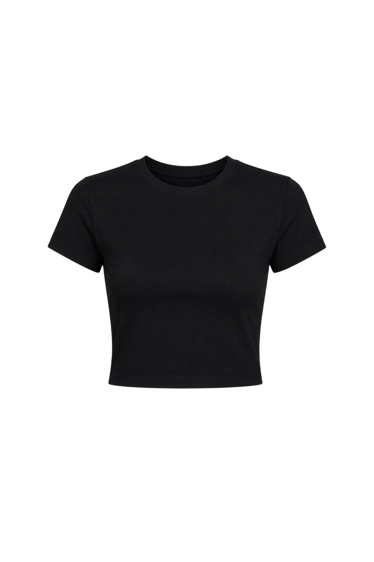 Black Crew Neck Lycra Crop T-Shirt