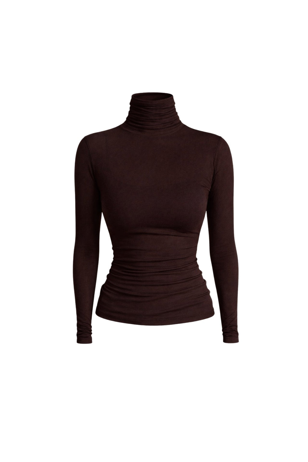Turtleneck Brown Transparent Blouse