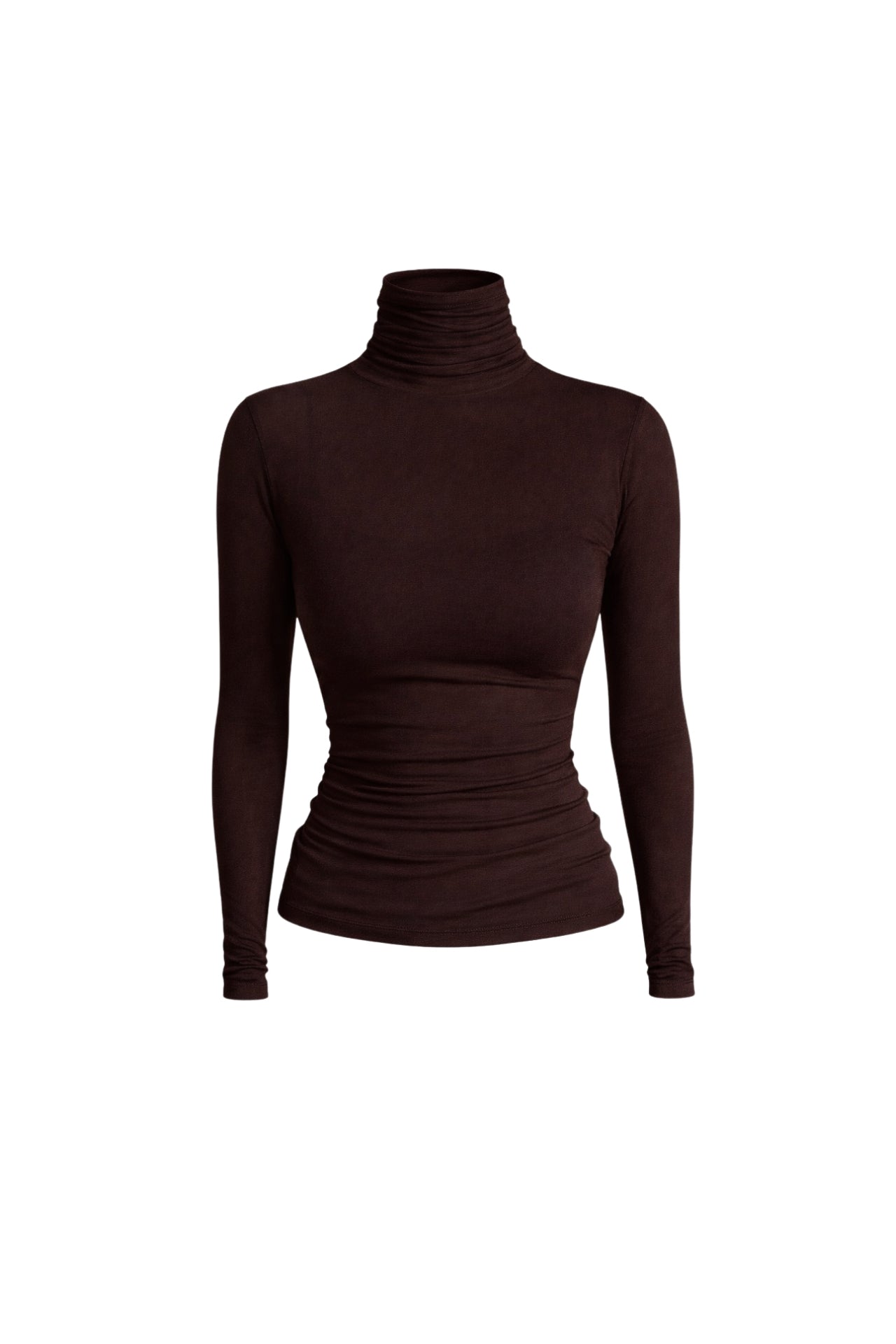 Turtleneck Brown Transparent Blouse