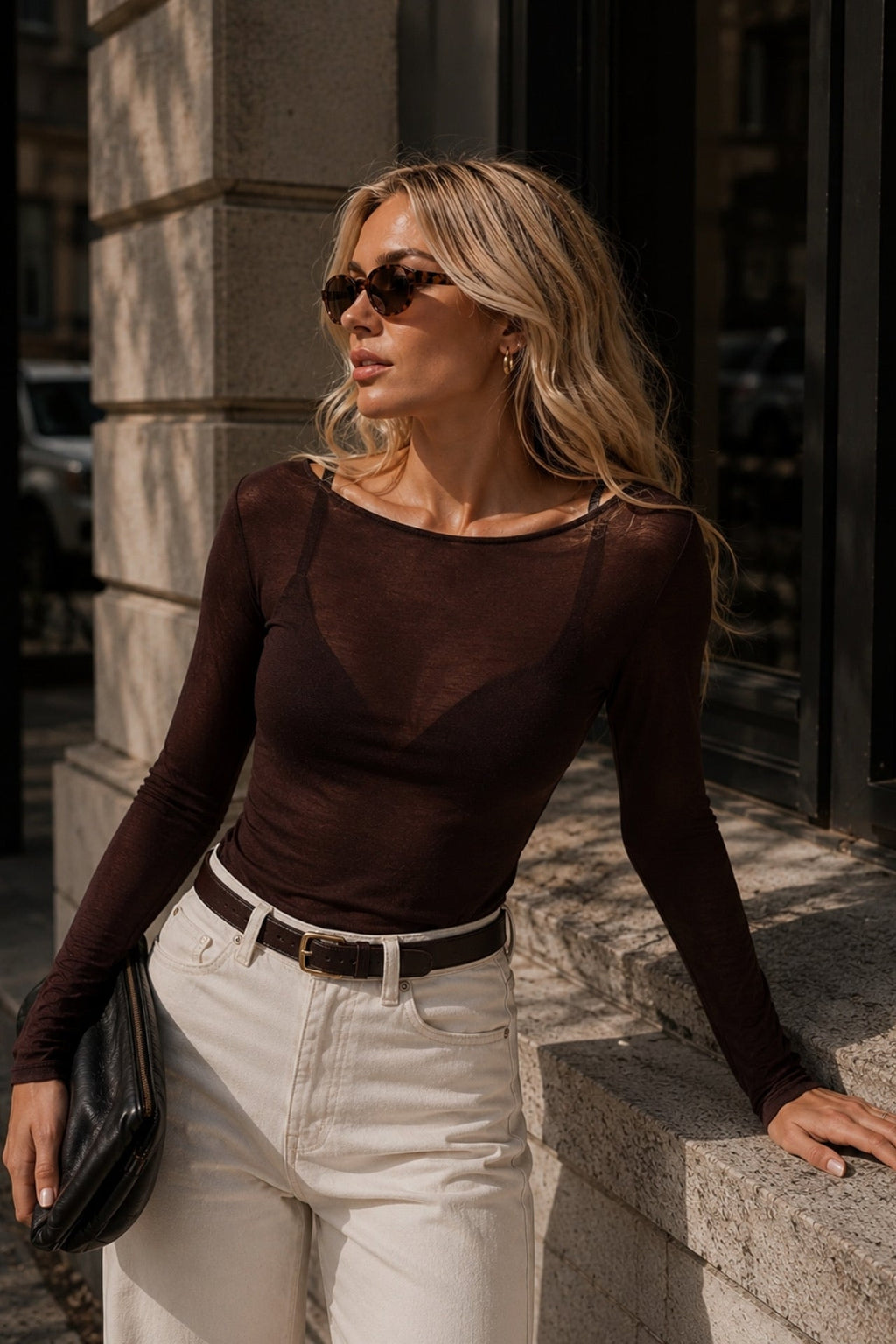 Boat Neck Brown Transparent Blouse