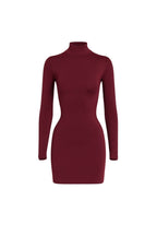 Turtleneck Mini Burgundy Dress