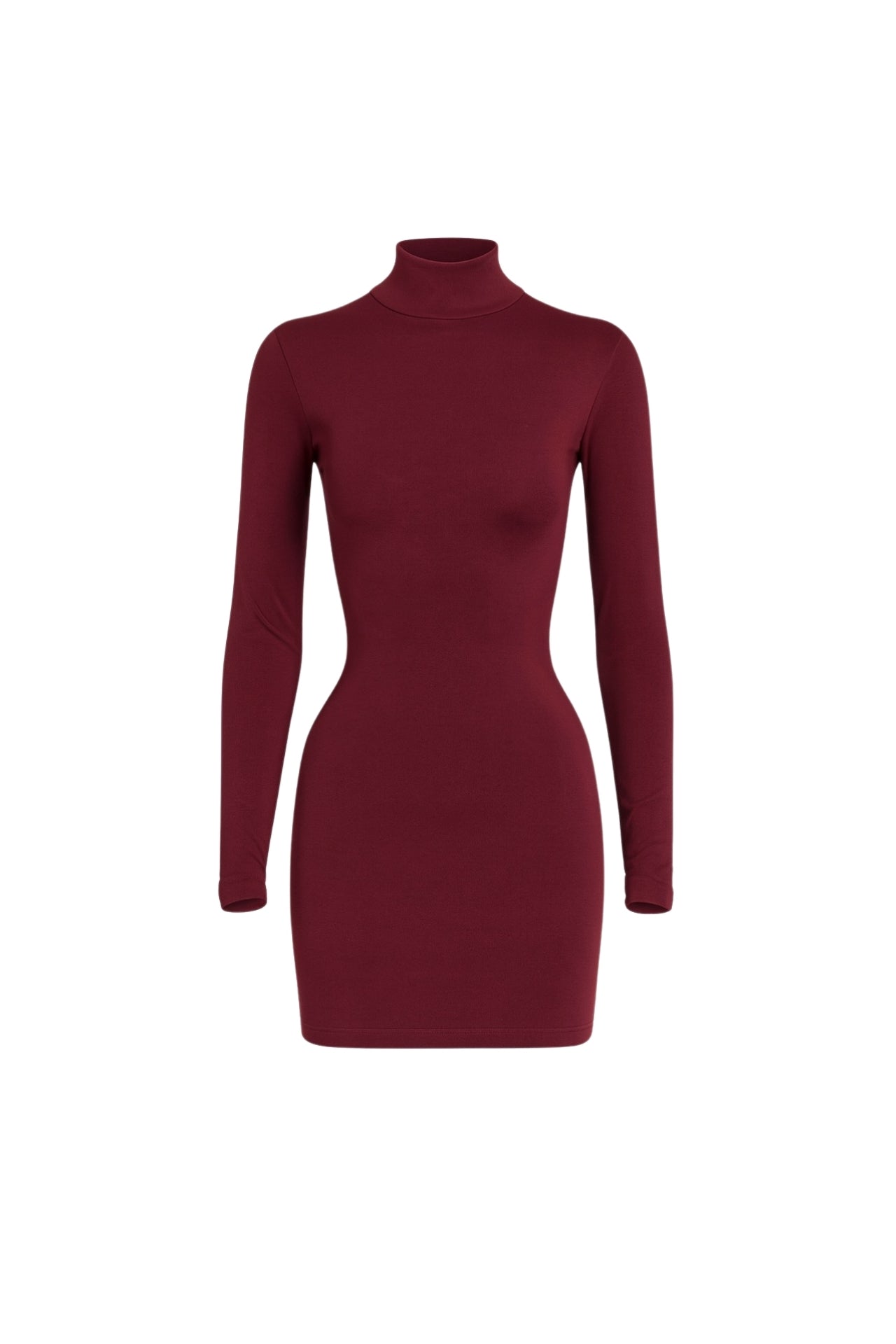 Turtleneck Mini Burgundy Dress