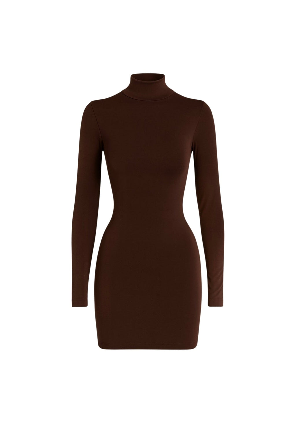 Turtleneck Mini Brown Dress