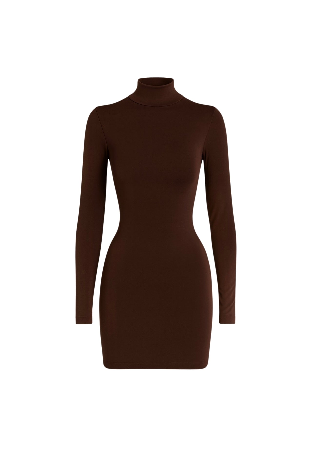 Turtleneck Mini Brown Dress