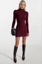 Turtleneck Mini Burgundy Dress