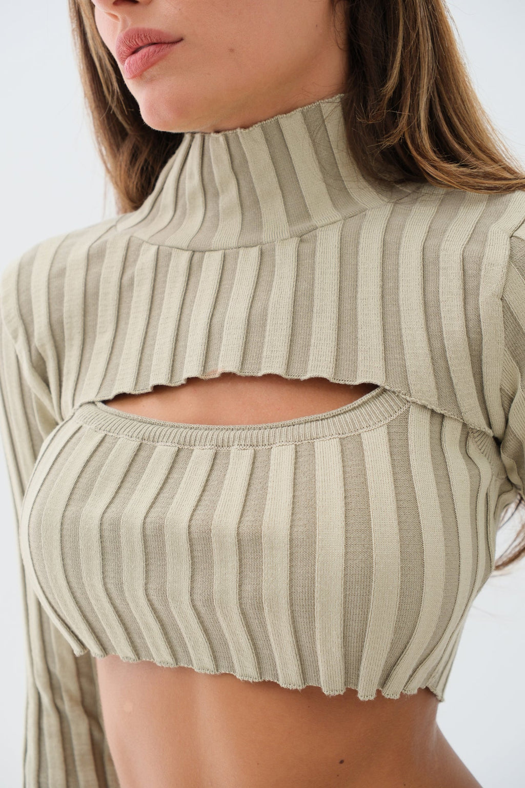 Turtleneck Beige Knit Crop