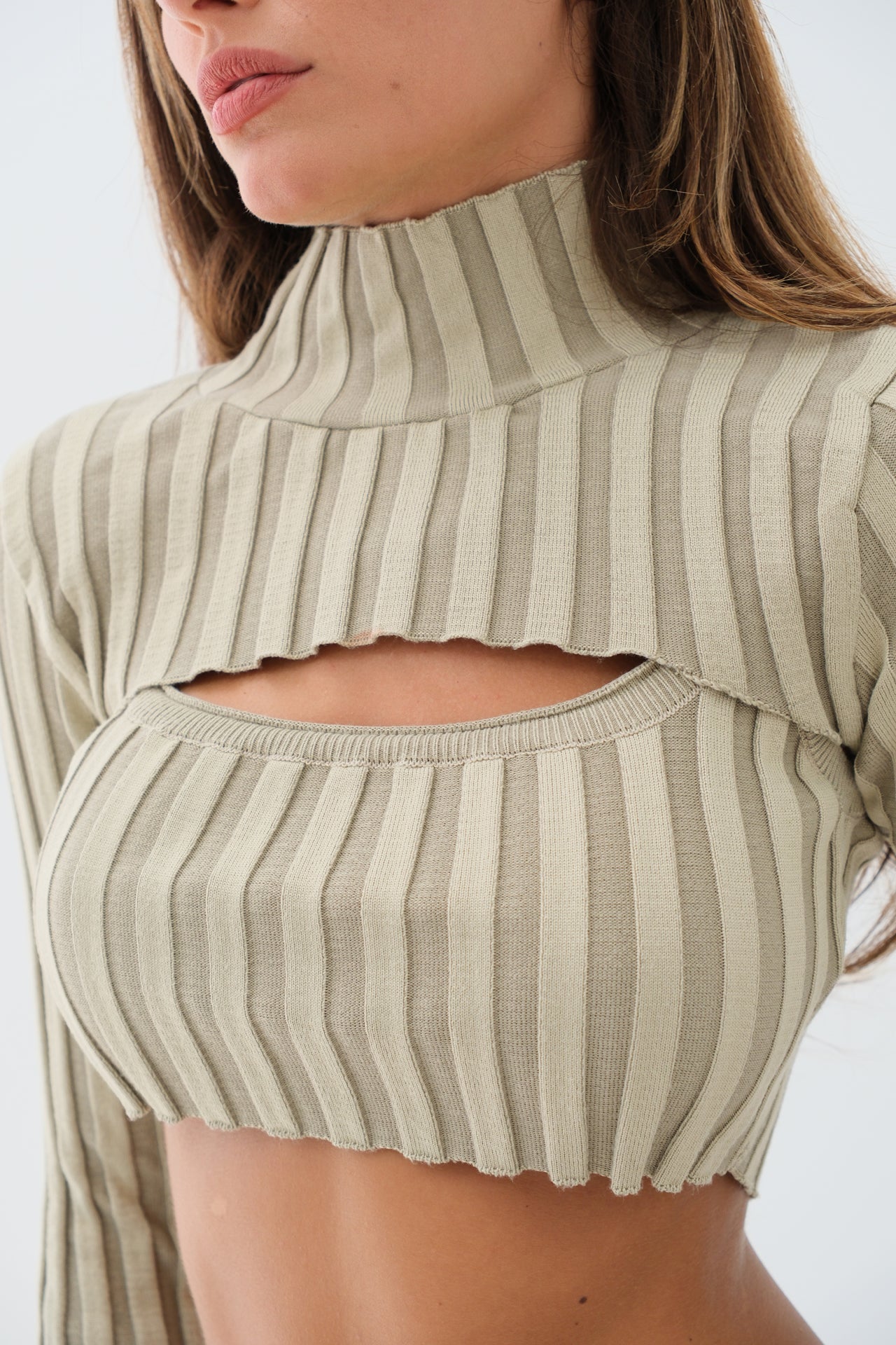Turtleneck Beige Knit Crop