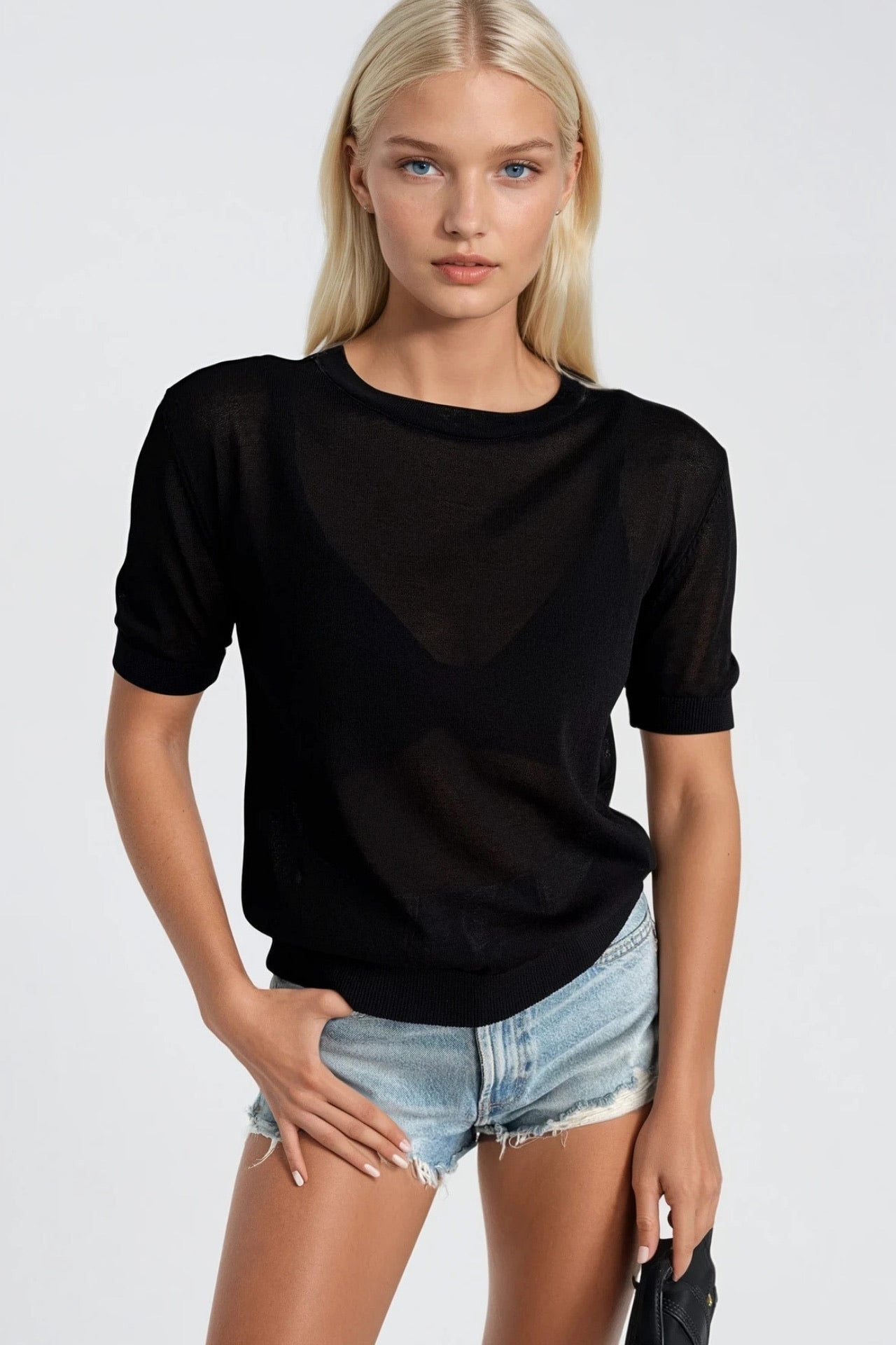 Crew Neck Sheer Textured Black Blouse