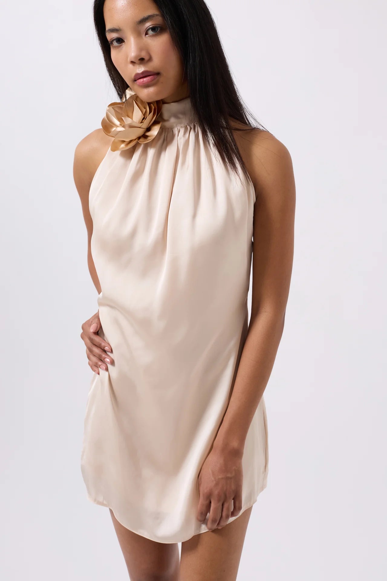 Rose Detail Mini Satin Beige Dress
