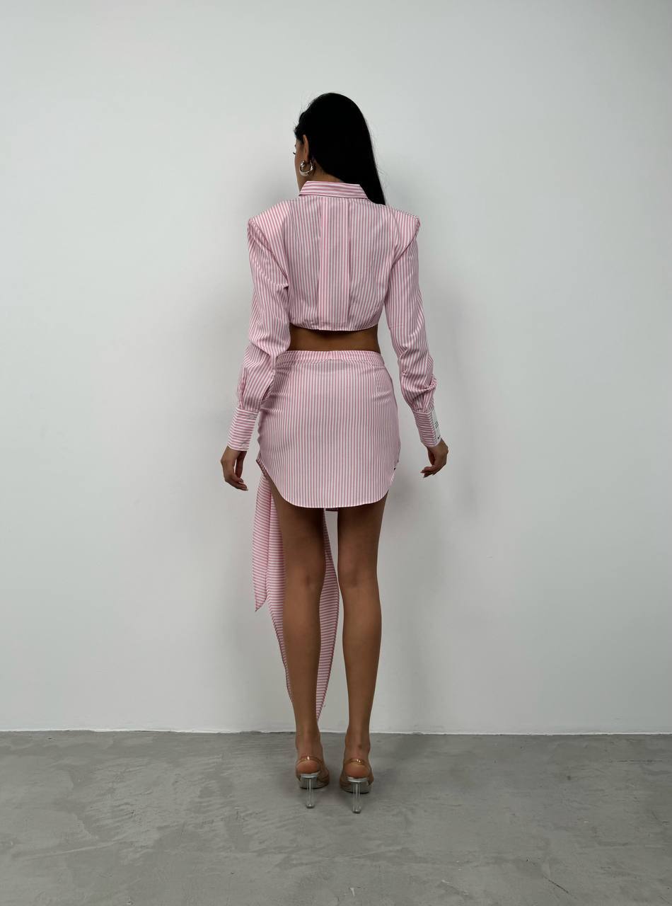 Sleeve Label Detail Striped Pink Crop Shirt + Skirt