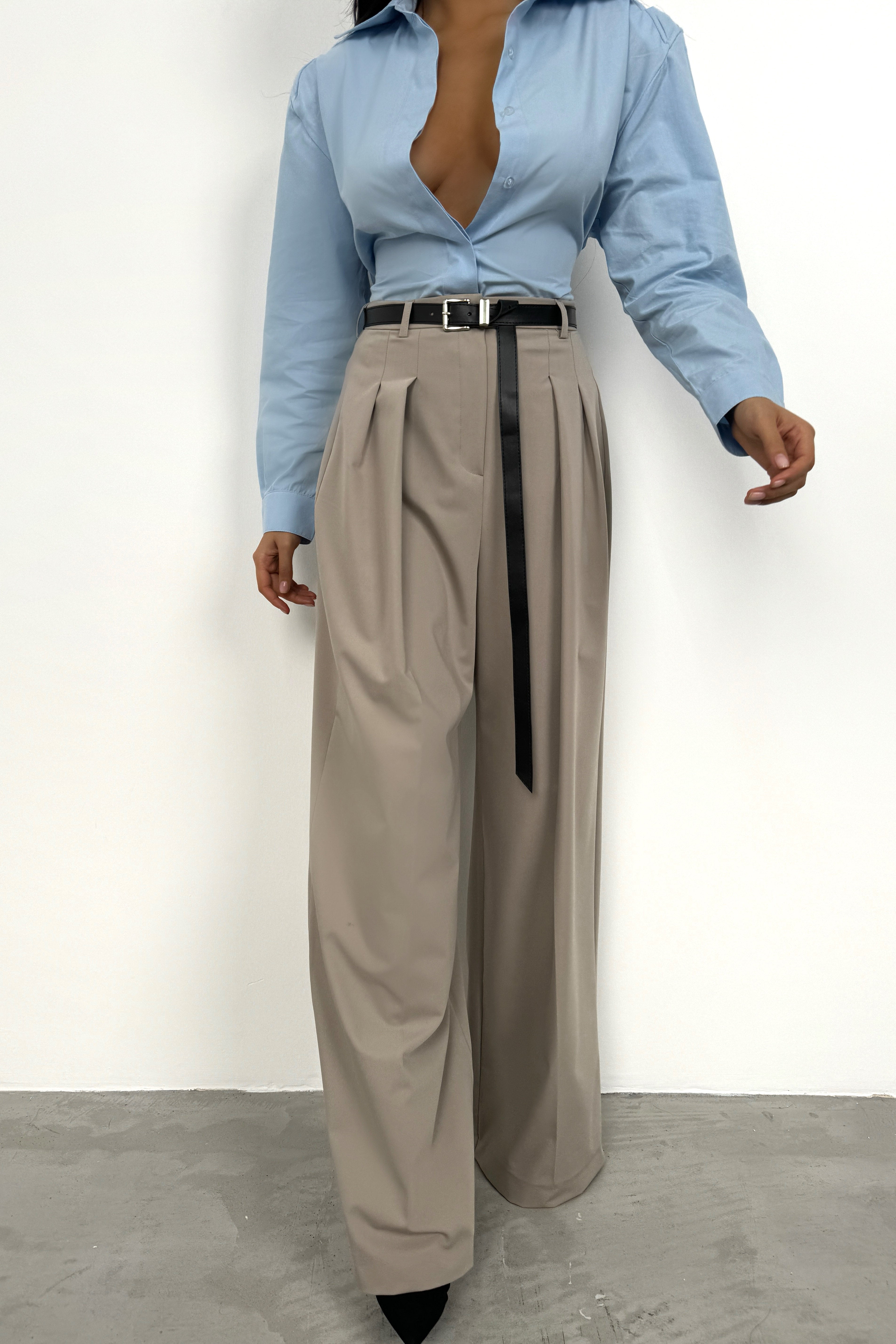Pleat Detail Waistted Beige Pants