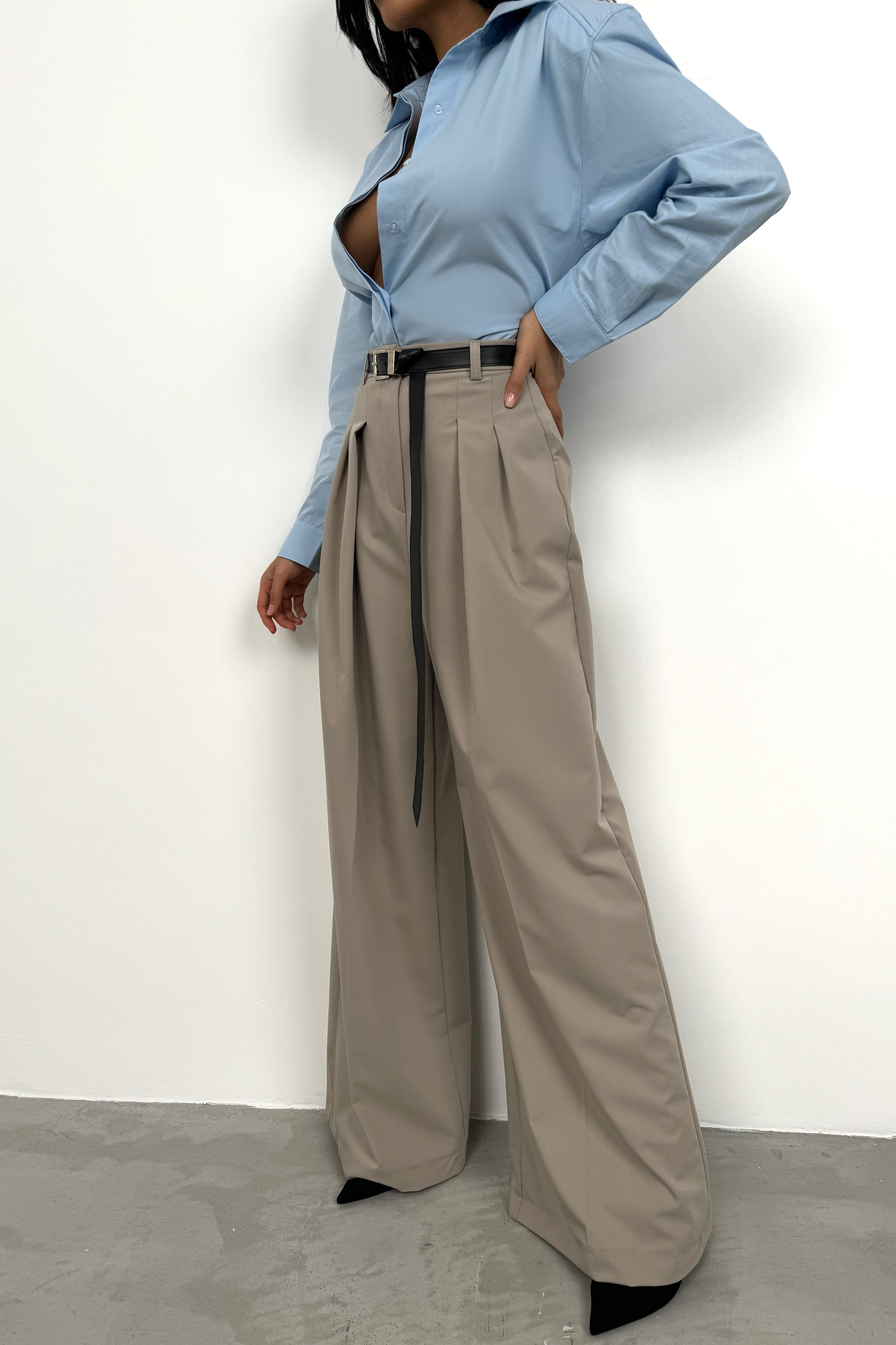 Pleat Detail Waistted Beige Pants