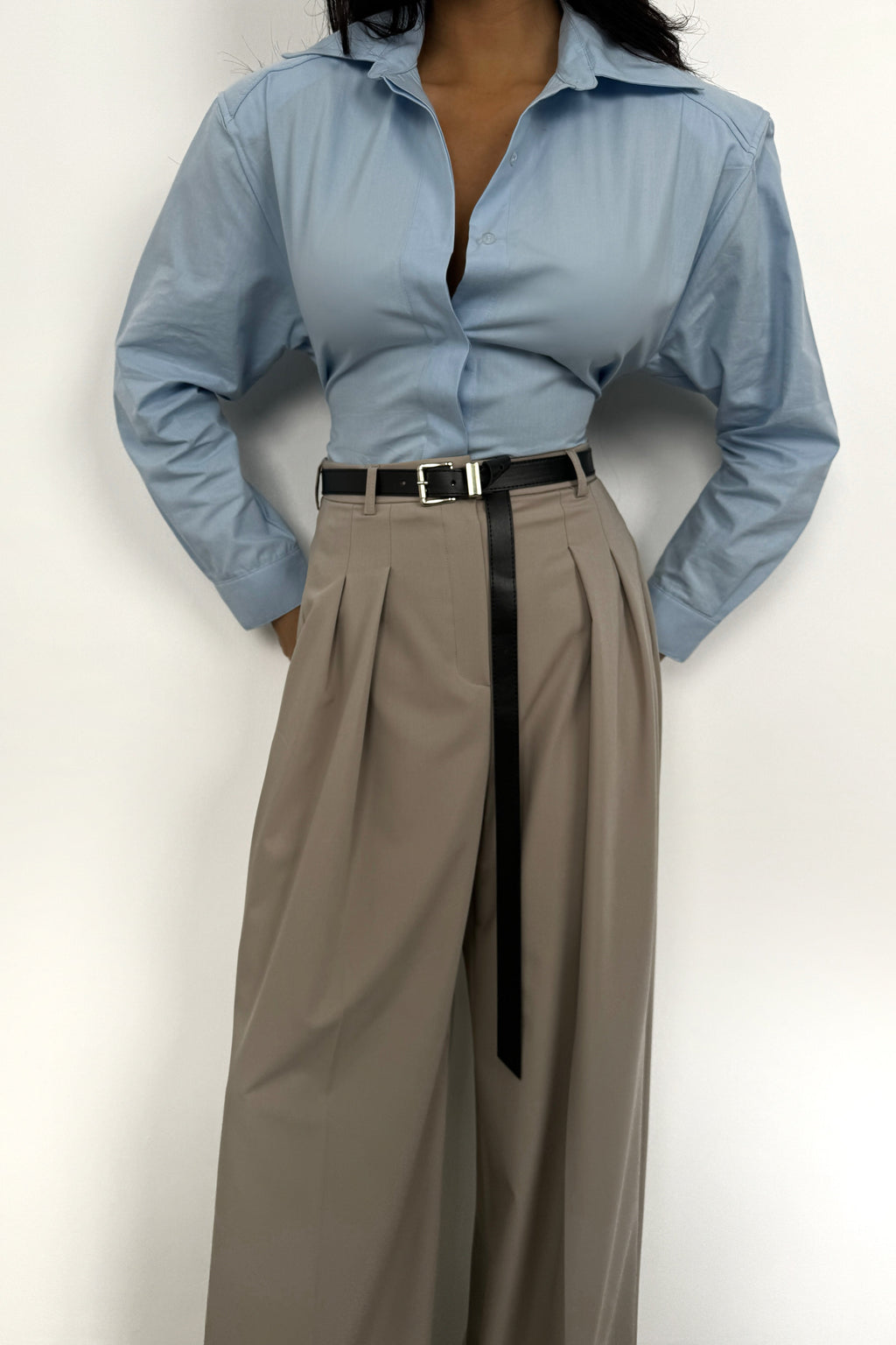 Pleat Detail Waistted Beige Pants